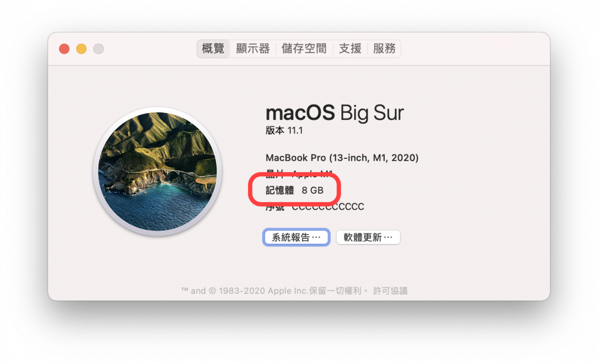 Mac 内存