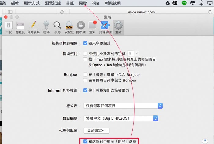 Safari开启查看源代码与网页开者工具