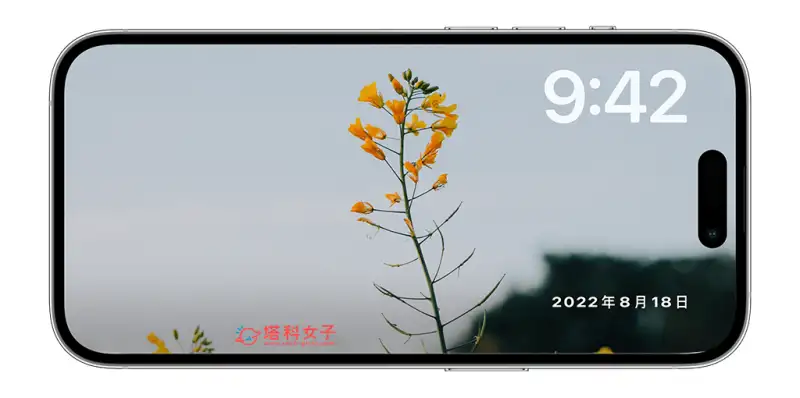 iPhone 待机模式照片更改教程，自定义 iOS17 待机画面显示的照片