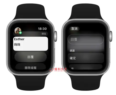 Apple Watch 信息显示内容怎么用？让手錶显示 信息！