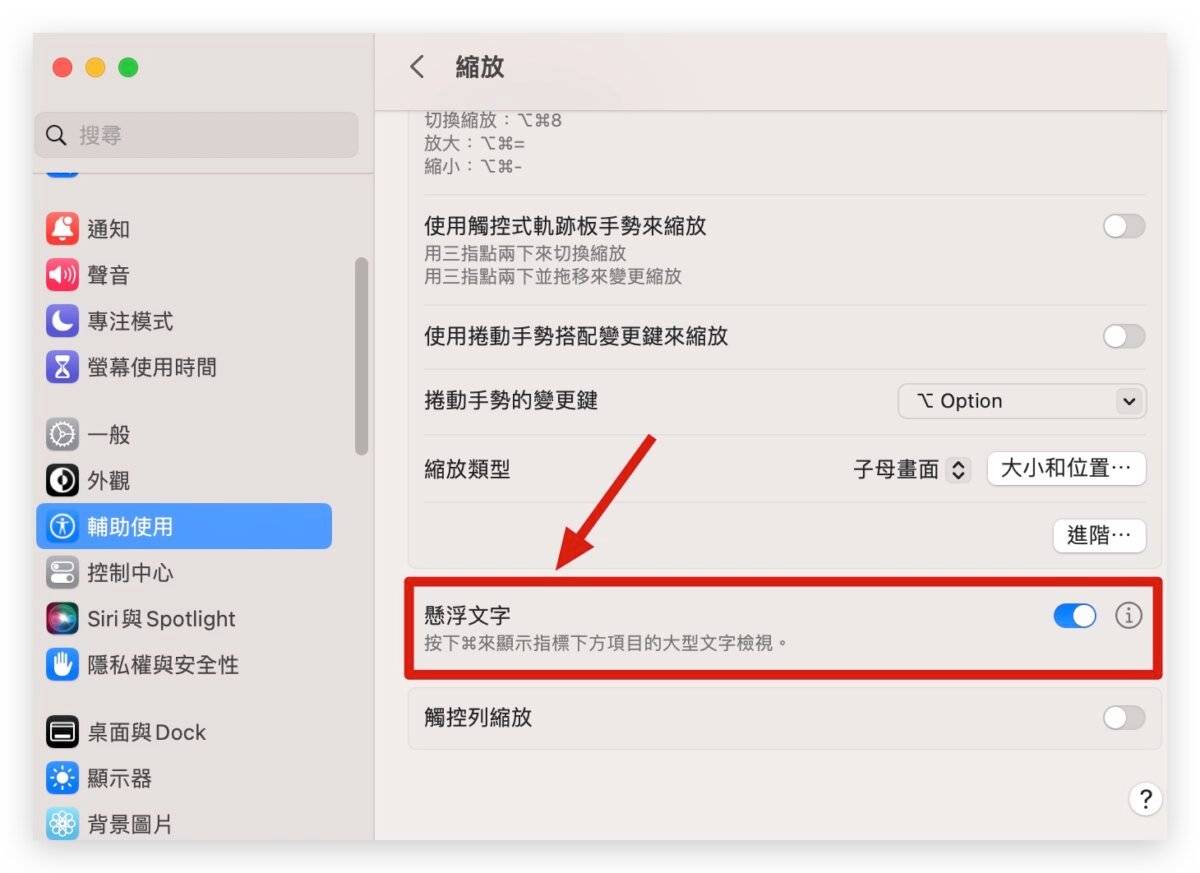 用 Mac 必学放大镜小技巧，用这 4 招随时随地放大文字或画面