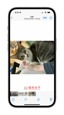 iPhone 原况照片关闭怎么设置？如何让 iPhone 原况照片变成一般照片？