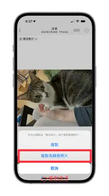 iPhone 原况照片关闭怎么设置？如何让 iPhone 原况照片变成一般照片？