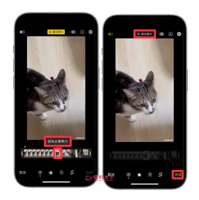 iPhone 原况照片关闭怎么设置？如何让 iPhone 原况照片变成一般照片？