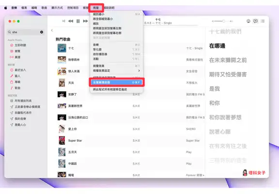 Mac Apple Music 全屏幕播放器可显示好看的专辑封面与动态歌词