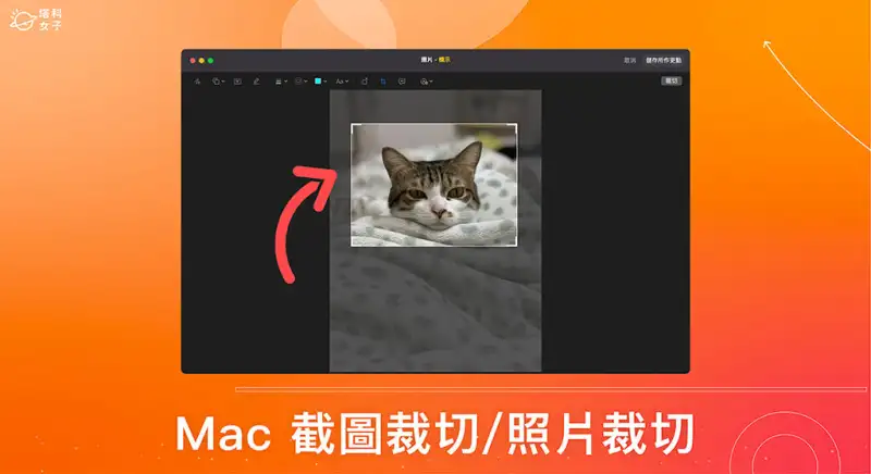 Mac 截图裁切或图片裁切怎么用？这 2 招内建工具快速完成