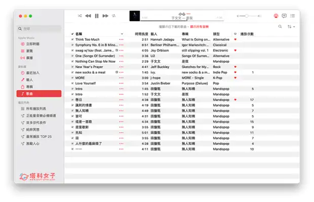 Apple Music 下载音乐教程，在 iPhone、iPad 或 Mac 离线播放 Apple 音乐