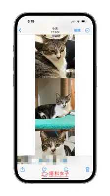 iPhone 照片拼接教程，2 招快速将多张 iPhone 照片合成一张