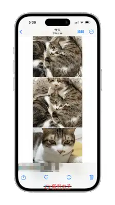 iPhone 照片拼接教程，2 招快速将多张 iPhone 照片合成一张