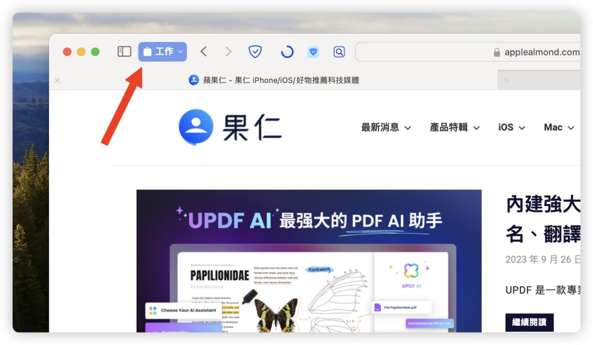 macOS 14 更新 特色 功能 Safari 主题类别