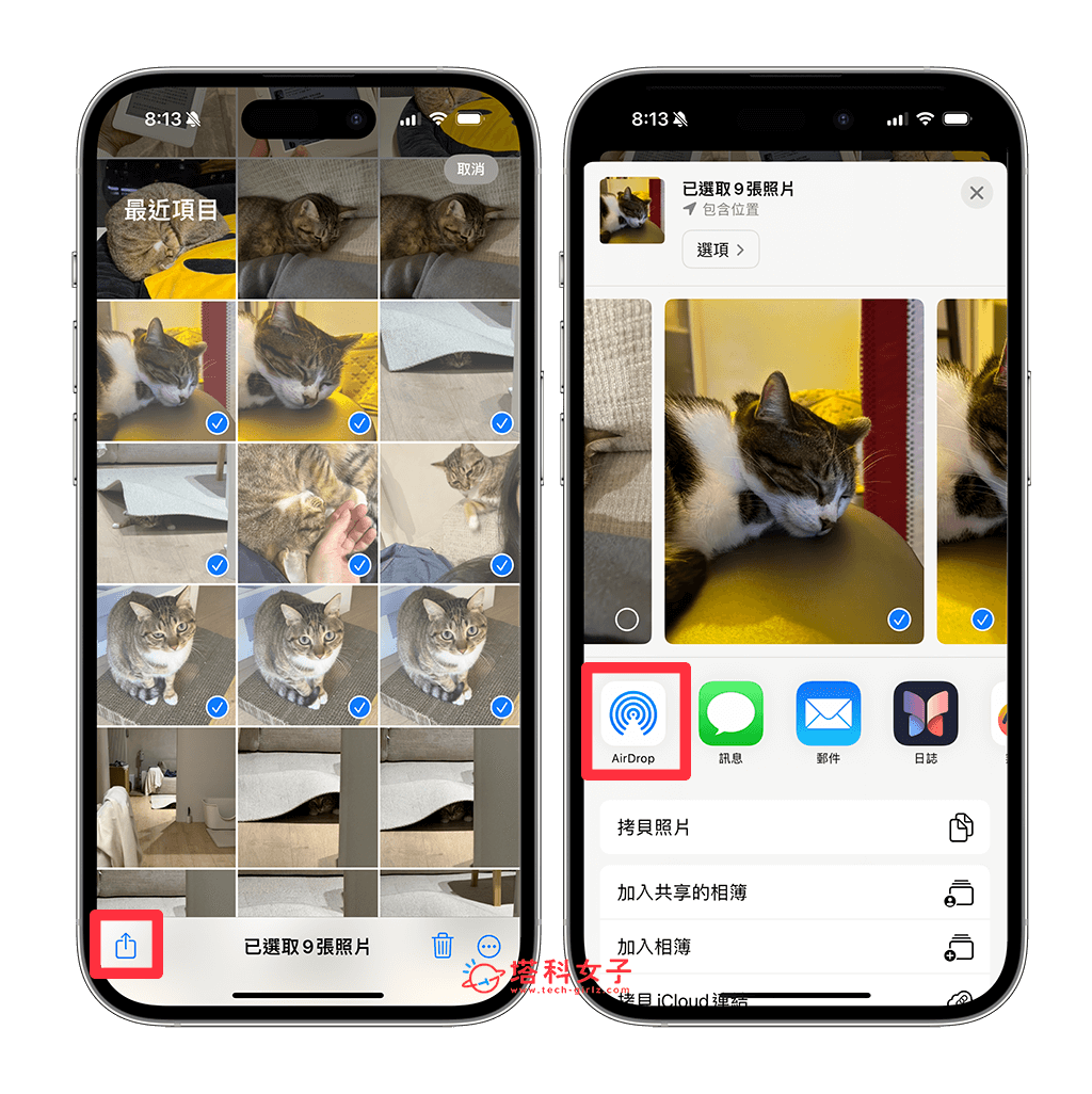 如何将 iPhone 照片传到电脑？5 个方法传到 Mac 或 Windows 电脑上！