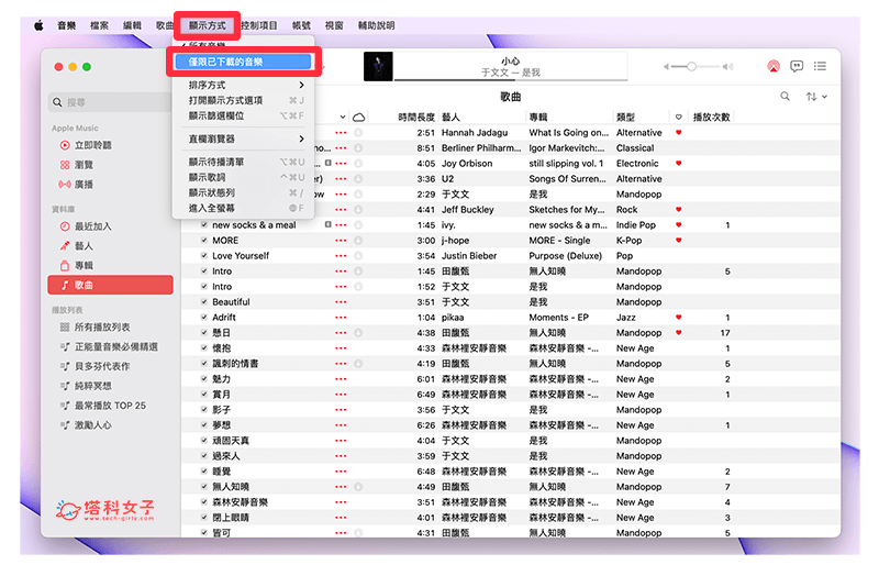 Apple Music 下载音乐教学，在 iPhone、iPad 或 Mac 离线播放 Apple 音乐