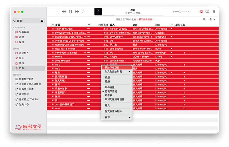 Apple Music 下载音乐教学，在 iPhone、iPad 或 Mac 离线播放 Apple 音乐