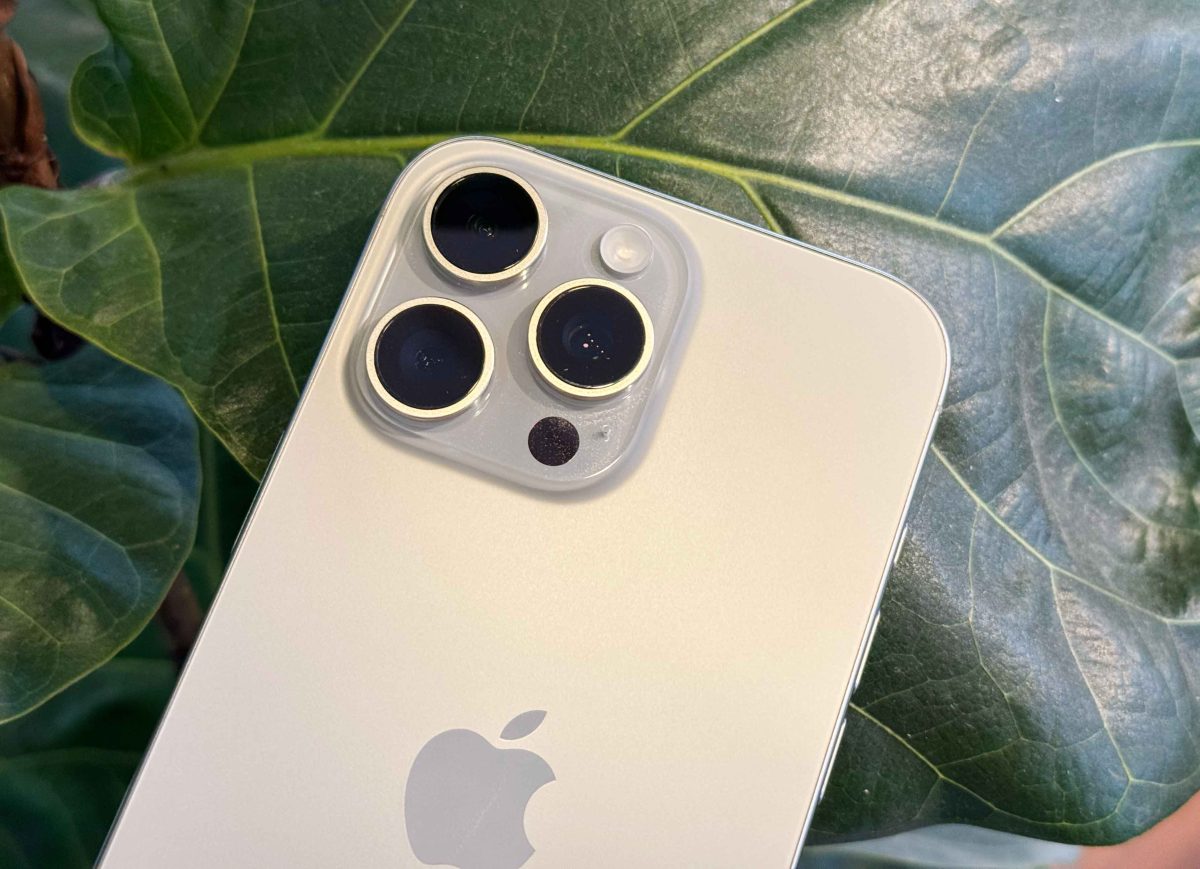 iPhone 16 微距摄影使用攻略：拍摄技巧、设置与控制方式教程，欣赏超惊艳微小世界 第2张