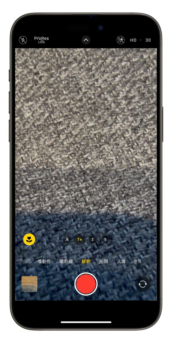 iPhone 16 微距摄影使用攻略：拍摄技巧、设置与控制方式教程，欣赏超惊艳微小世界 第4张