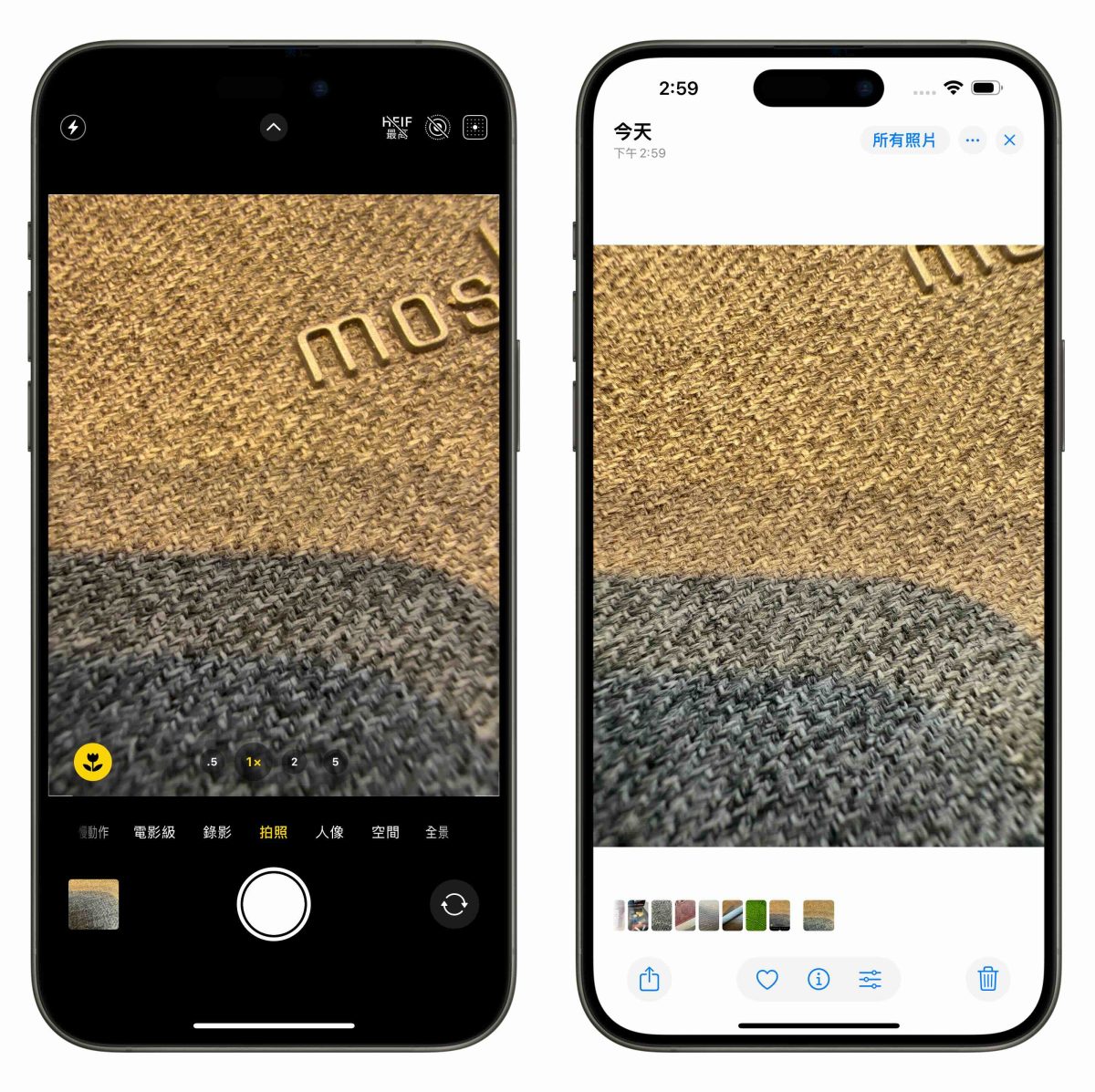 iPhone 16 微距摄影使用攻略：拍摄技巧、设置与控制方式教程，欣赏超惊艳微小世界 第3张